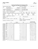 sample individual report